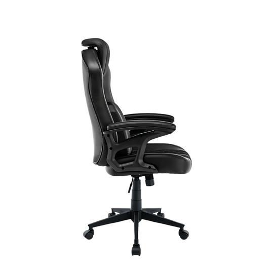 TTRacing Duo V4 Pro Gaming Chair