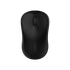 Rapoo M20 — Black — Wireless Mouse